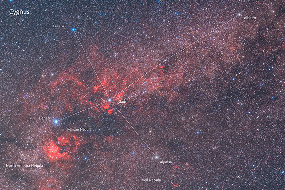 Cygnus Caption