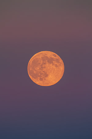 Super Moon And the Anti Twilight Bands