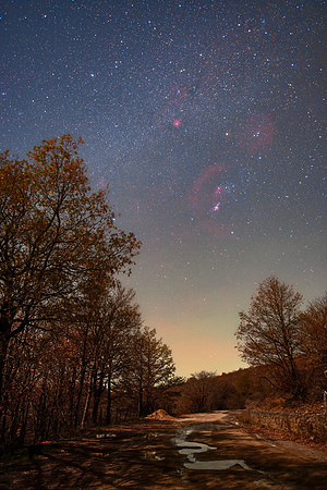 Last Foliage of the Nebrodi Mountains Under the Milky Way