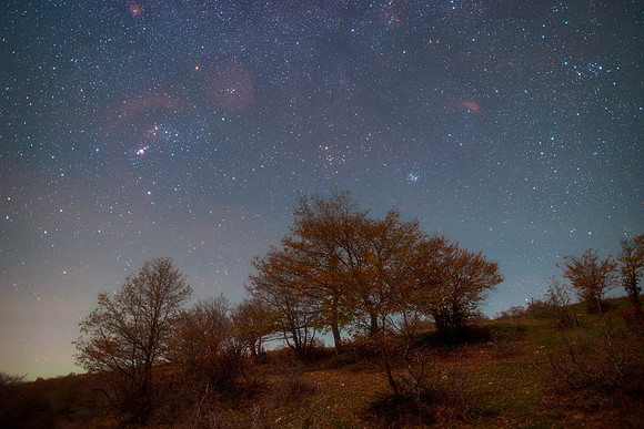 Autumn Dream in the Nebrodi Mountains