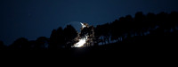 Earthshine Moon and Pine Trees