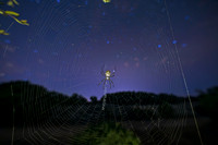 The Spider Woman and The Hopi Legend