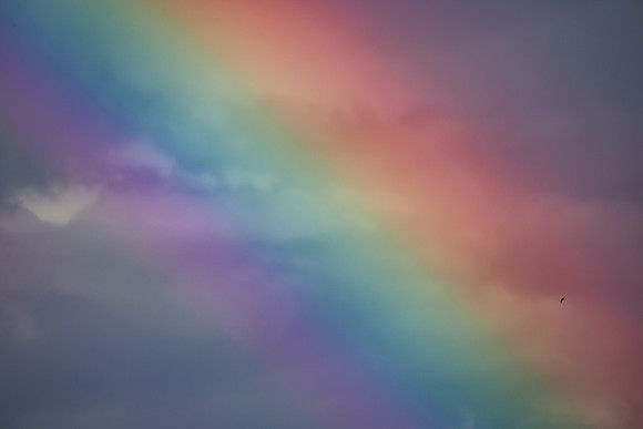 Rainbow 18_04_23 Horizzontal