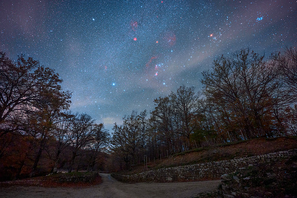 Autumnal Milky Way In The Woods Surrounding Lake Maulazzo