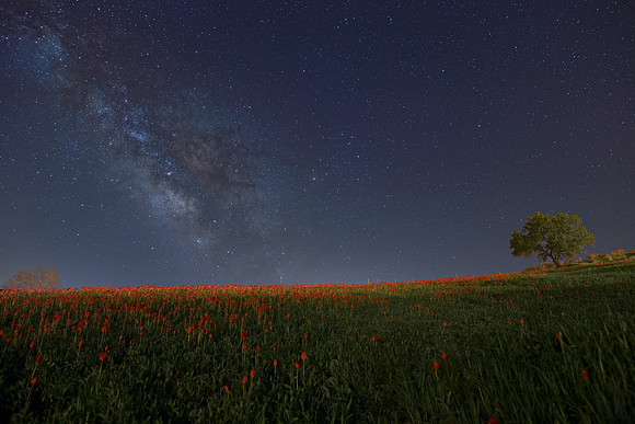 Towards The Milky Way - Blufi Sicily