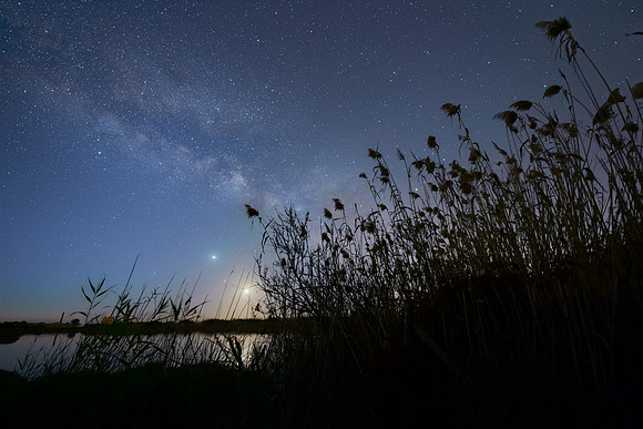 Moon Venus and Mars Alignment Above The Reeds Of Vendicari