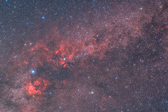 Cygnus