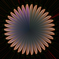 Stellar flower Extinction of the auroral phenomenon over the Tyrrhenian Sea