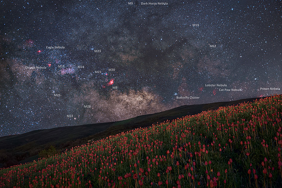 Galactic Center Above the Hill of Wild Tulips - SIcily caption