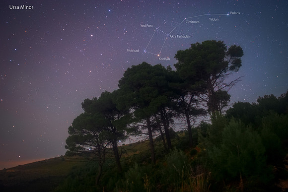 Ursa Minor and Mediterranean Pines on Monte Inici Caption